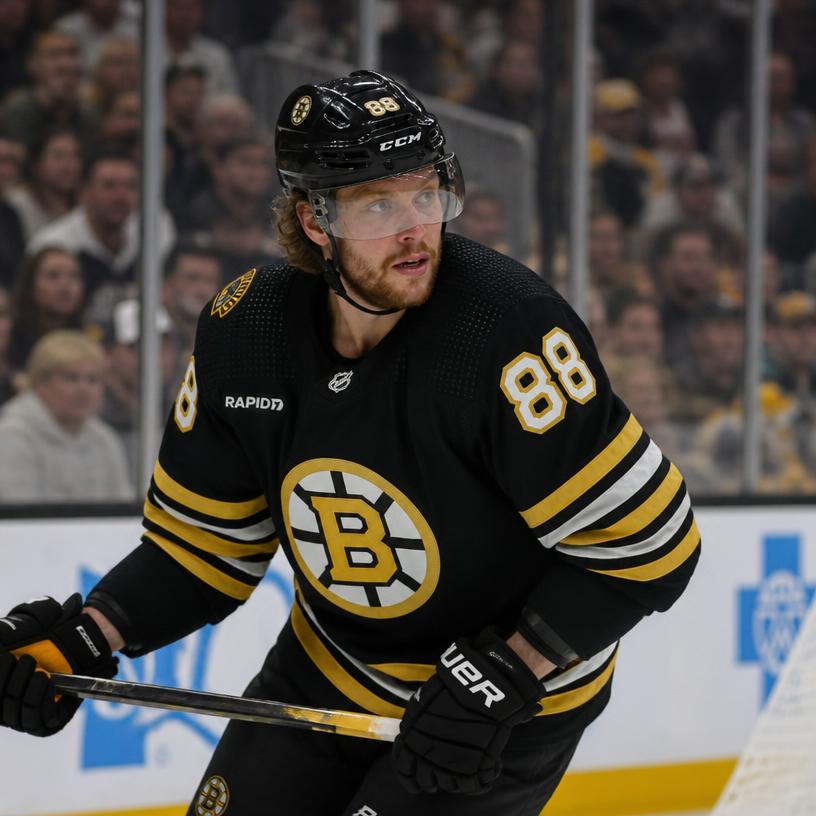 Čeští hokejisté v NHL: rychlá zkouška jmen a kariér